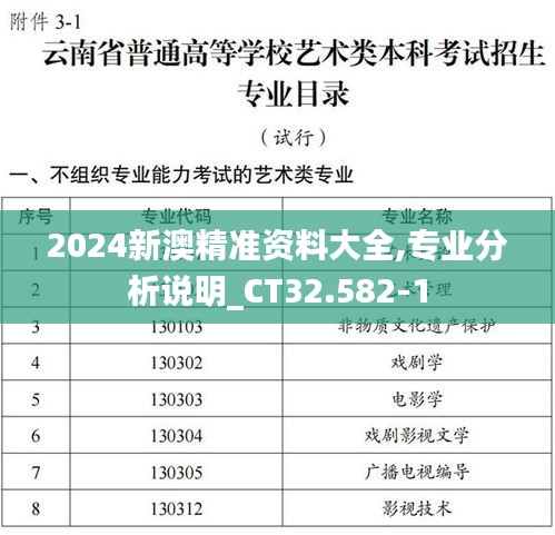 2024新澳精准资料大全,专业分析说明_CT32.582-1