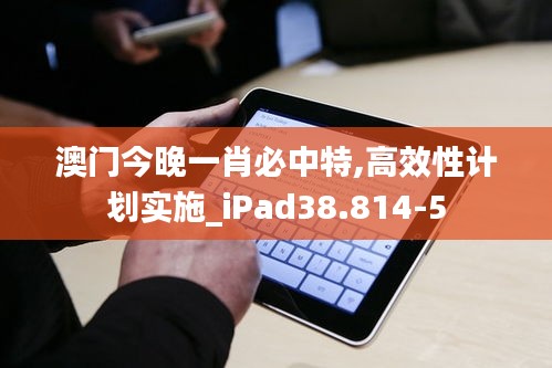 澳门今晚一肖必中特,高效性计划实施_iPad38.814-5