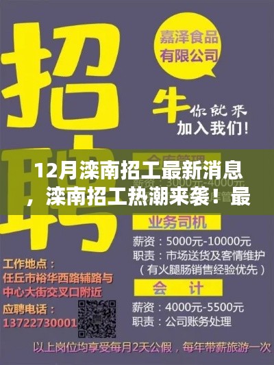 滦南招工热潮来袭，12月最新招聘信息与就业机会大放送