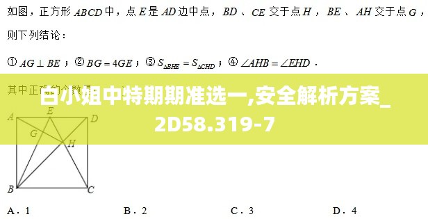 白小姐中特期期准选一,安全解析方案_2D58.319-7