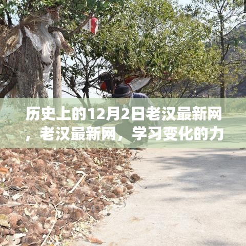 老汉最新网，励志之旅，学习变化的力量铸就自信与成就感的历史回顾