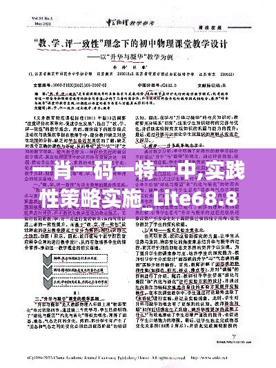 一肖一码一特一中,实践性策略实施_Lite68.821-1