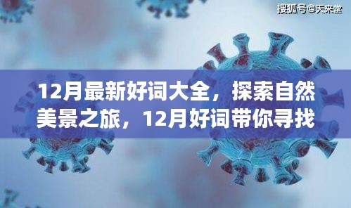 12月最新好词探寻自然美景之旅，宁静与平和的内心之旅