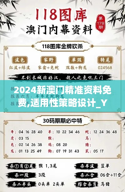 2024新澳门精准资料免费,适用性策略设计_YE版44.610-3