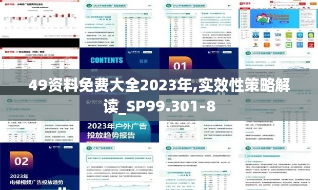 49资料免费大全2023年,实效性策略解读_SP99.301-8