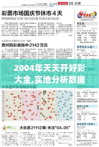 2004年天天开好彩大全,实地分析数据方案_特供版99.520-4