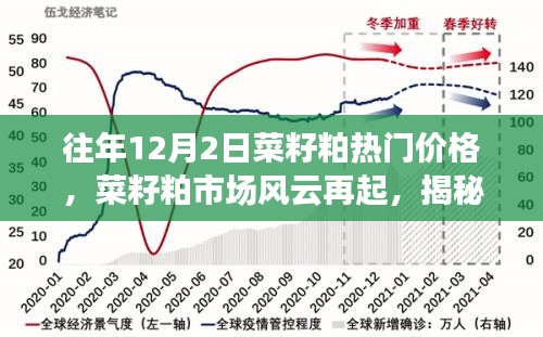 揭秘，往年12月2日菜籽粕市场风云与热门价格背后的故事