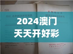 2024澳门天天开好彩大全正版,深度研究解析说明_Console47.714-1