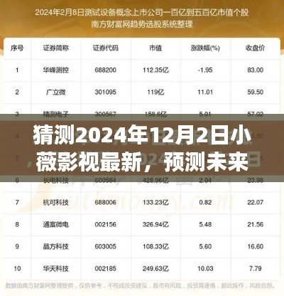 2024年12月2日小薇影视最新走向预测与分析