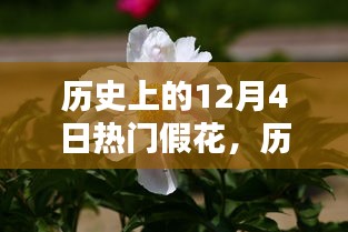 历史上的12月4日热门假花，全面评测与详细介绍