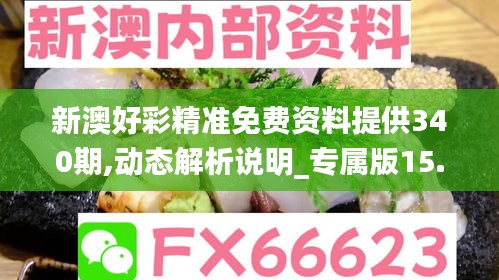 新澳好彩精准免费资料提供340期,动态解析说明_专属版15.777-8