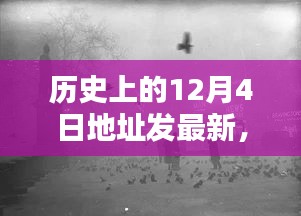 历史上的十二月四日，意外收获与温馨记忆的地址发最新