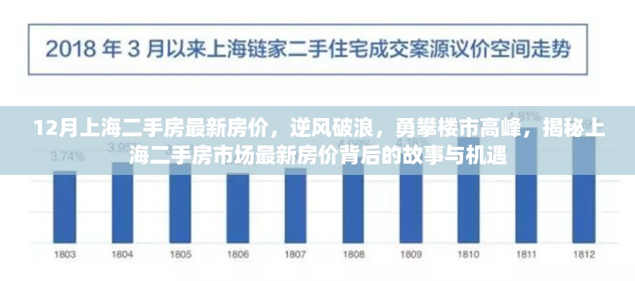 2024年12月4日 第3页