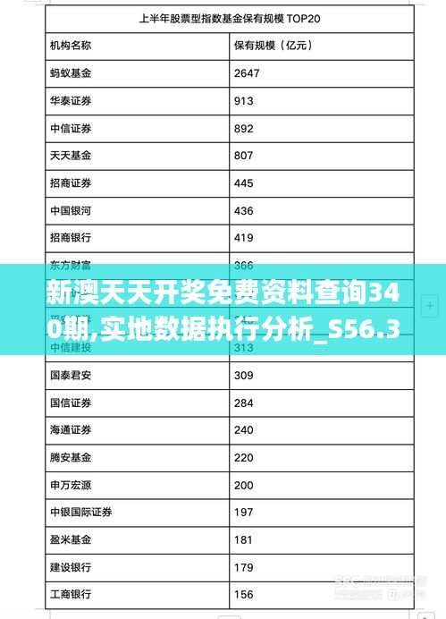 新澳天天开奖免费资料查询340期,实地数据执行分析_S56.330-2