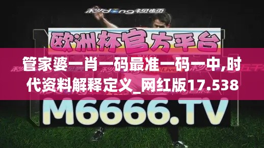 管家婆一肖一码最准一码一中,时代资料解释定义_网红版17.538-6