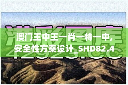 澳门王中王一肖一特一中,安全性方案设计_SHD82.476-5