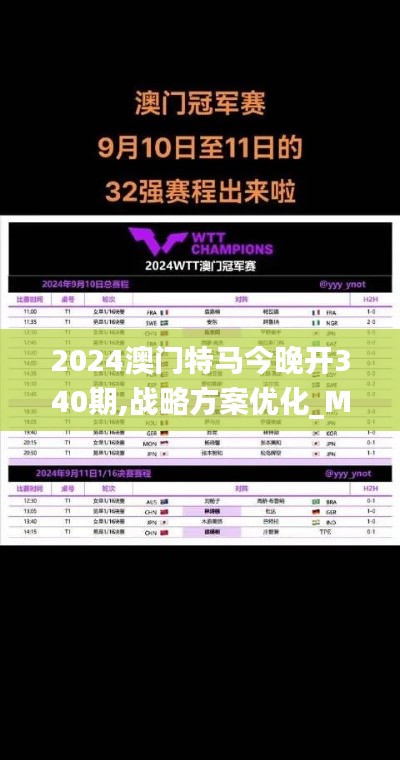 2024澳门特马今晚开340期,战略方案优化_Mixed12.809-1