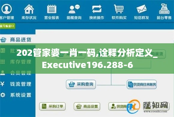 202管家婆一肖一码,诠释分析定义_Executive196.288-6