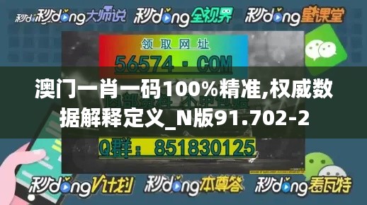 澳门一肖一码100%精准,权威数据解释定义_N版91.702-2