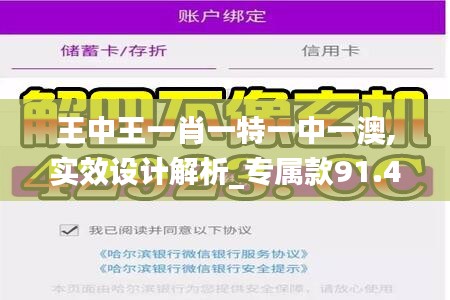 王中王一肖一特一中一澳,实效设计解析_专属款91.422-9