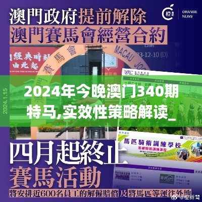 2024年今晚澳门340期特马,实效性策略解读_粉丝款11.276-4