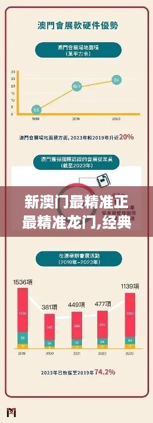 新澳门最精准正最精准龙门,经典案例解释定义_AP80.950-9