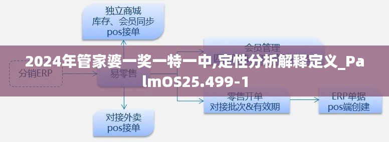 2024年管家婆一奖一特一中,定性分析解释定义_PalmOS25.499-1