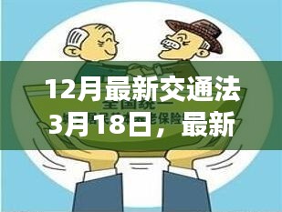 最新交通法详解，从入门到精通的指南（初学者必备）