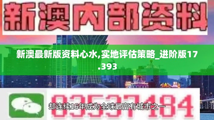 新澳最新版资料心水,实地评估策略_进阶版17.393