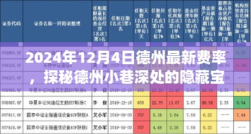 探秘德州小巷宝藏，最新费率下的独特小店之旅（2024年12月4日德州）