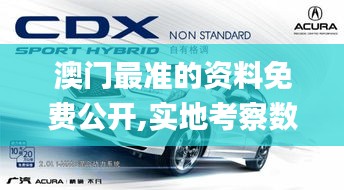 澳门最准的资料免费公开,实地考察数据策略_Hybrid99.161