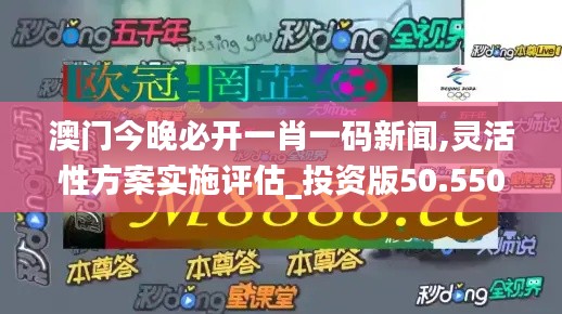 澳门今晚必开一肖一码新闻,灵活性方案实施评估_投资版50.550