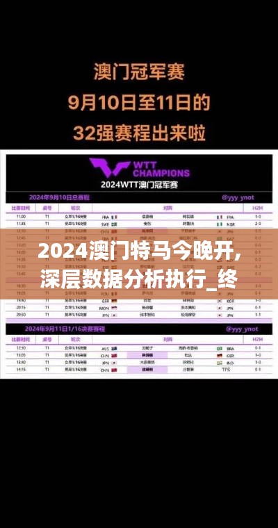 2024澳门特马今晚开,深层数据分析执行_终极版62.997