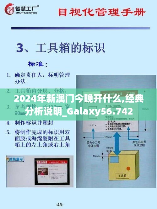 2024年新澳门今晚开什么,经典分析说明_Galaxy56.742