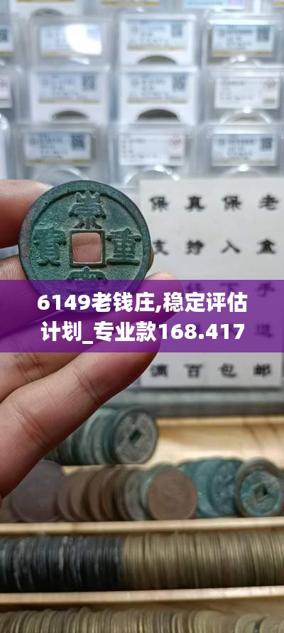 6149老钱庄,稳定评估计划_专业款168.417