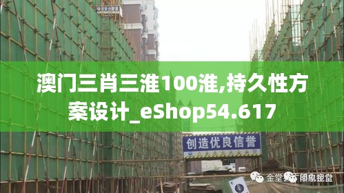 澳门三肖三淮100淮,持久性方案设计_eShop54.617