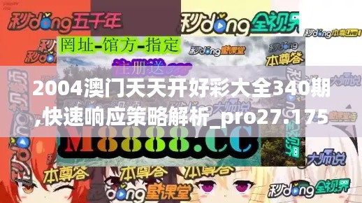 2004澳门天天开好彩大全340期,快速响应策略解析_pro27.175-7