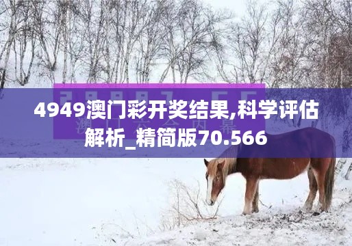 4949澳门彩开奖结果,科学评估解析_精简版70.566