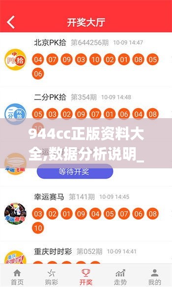 944cc正版资料大全,数据分析说明_iPhone9.544