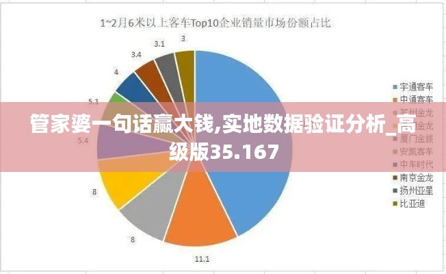 管家婆一句话赢大钱,实地数据验证分析_高级版35.167