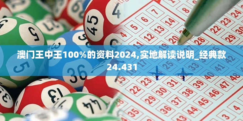 澳门王中王100%的资料2024,实地解读说明_经典款24.431