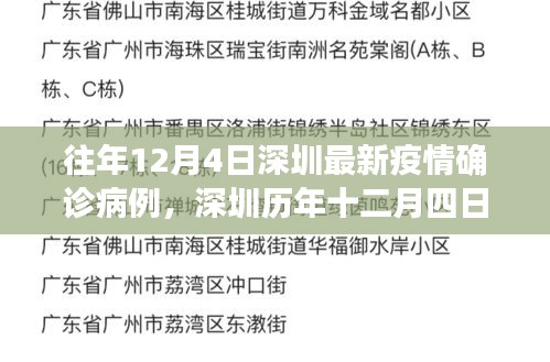 往年12月4日深圳最新疫情确诊病例，深圳历年十二月四日疫情病例分析，探讨防控策略与个人责任