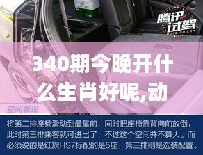 340期今晚开什么生肖好呢,动态解释词汇_豪华版4.502-5