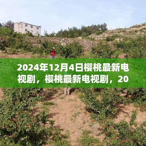 樱桃最新电视剧，2024年12月4日的期待与热议