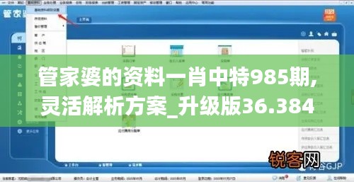 管家婆的资料一肖中特985期,灵活解析方案_升级版36.384