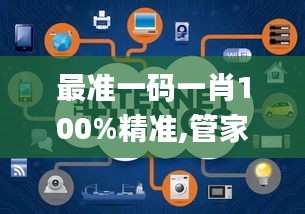 最准一码一肖100%精准,管家婆大小中特,实践研究解释定义_iPad60.112