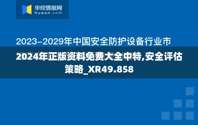 2024年正版资料免费大全中特,安全评估策略_XR49.858