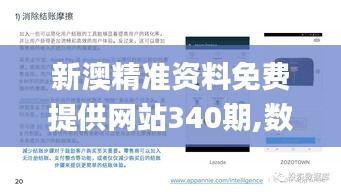 新澳精准资料免费提供网站340期,数据决策分析驱动_专业版98.557-6