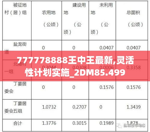 777778888王中王最新,灵活性计划实施_2DM85.499