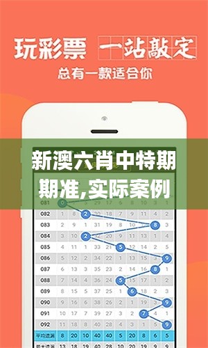 新澳六肖中特期期准,实际案例解析说明_领航版4.675